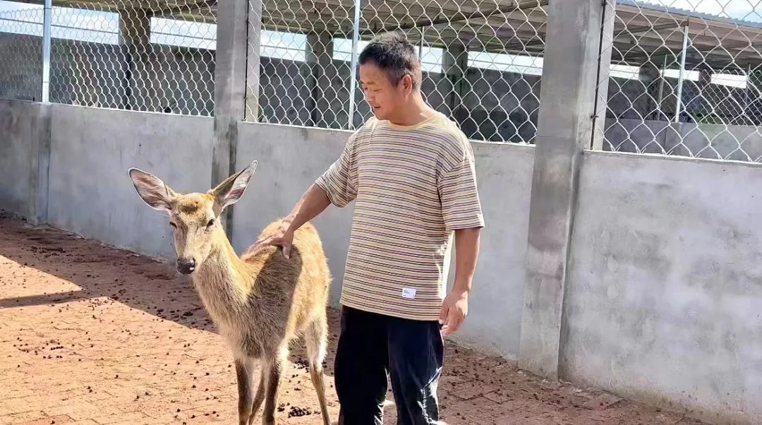 奥门4小时在线娱乐